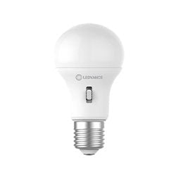 LED Globes