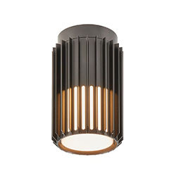 Exterior Ceiling Lights