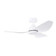DC Ceiling Fans