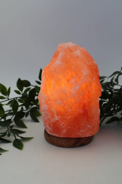 Natural Salt Lamp