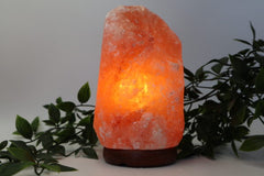 Natural Salt Lamp