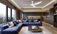 Noosa 60" DC Ceiling Fan