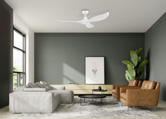 Noosa 60" DC Ceiling Fan