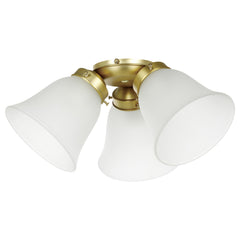 Waikiki Light Kit ONLY