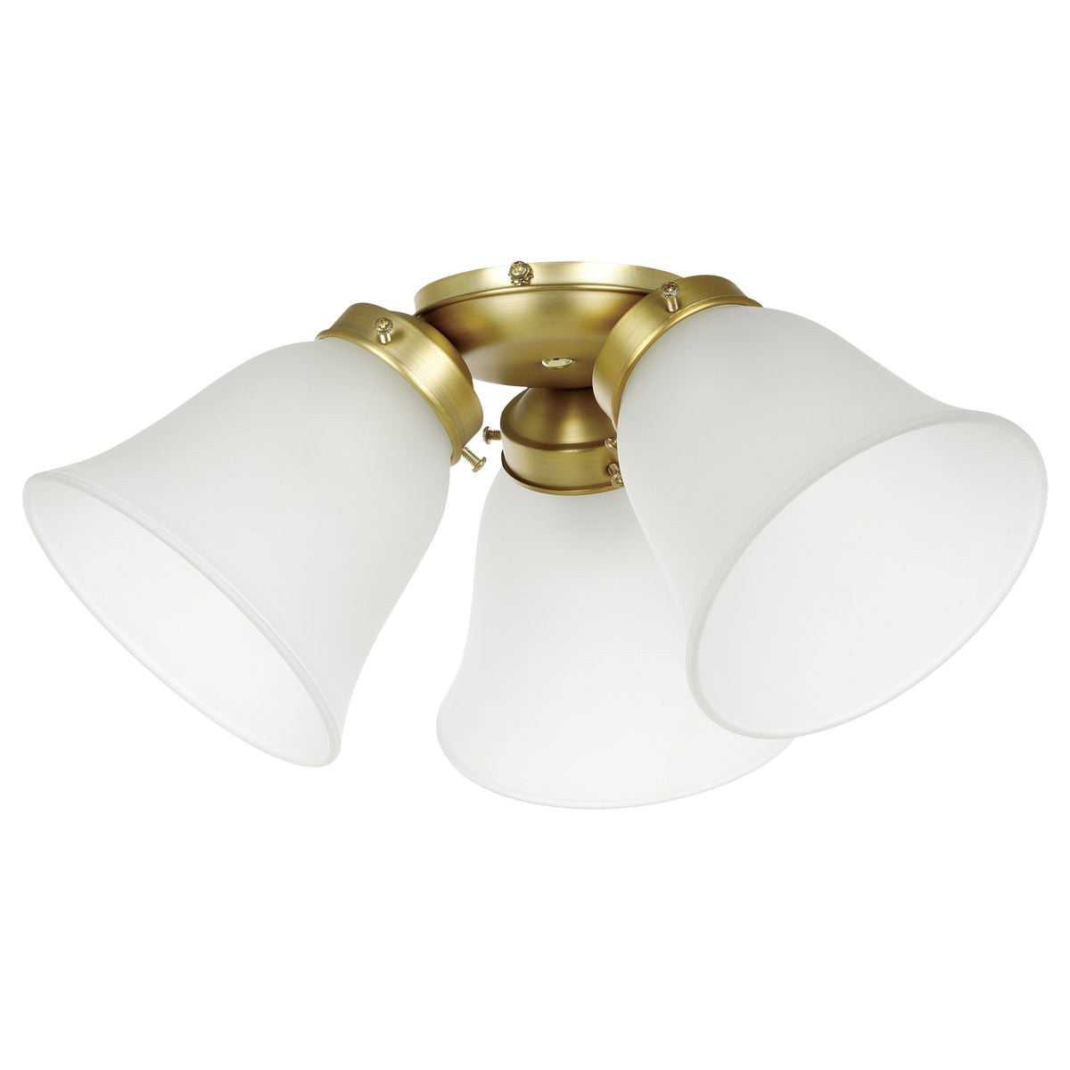 Waikiki Light Kit ONLY