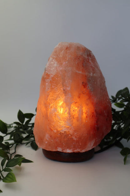 Natural Salt Lamp