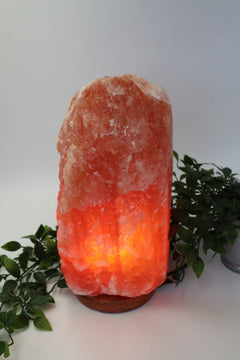 Natural Salt Lamp