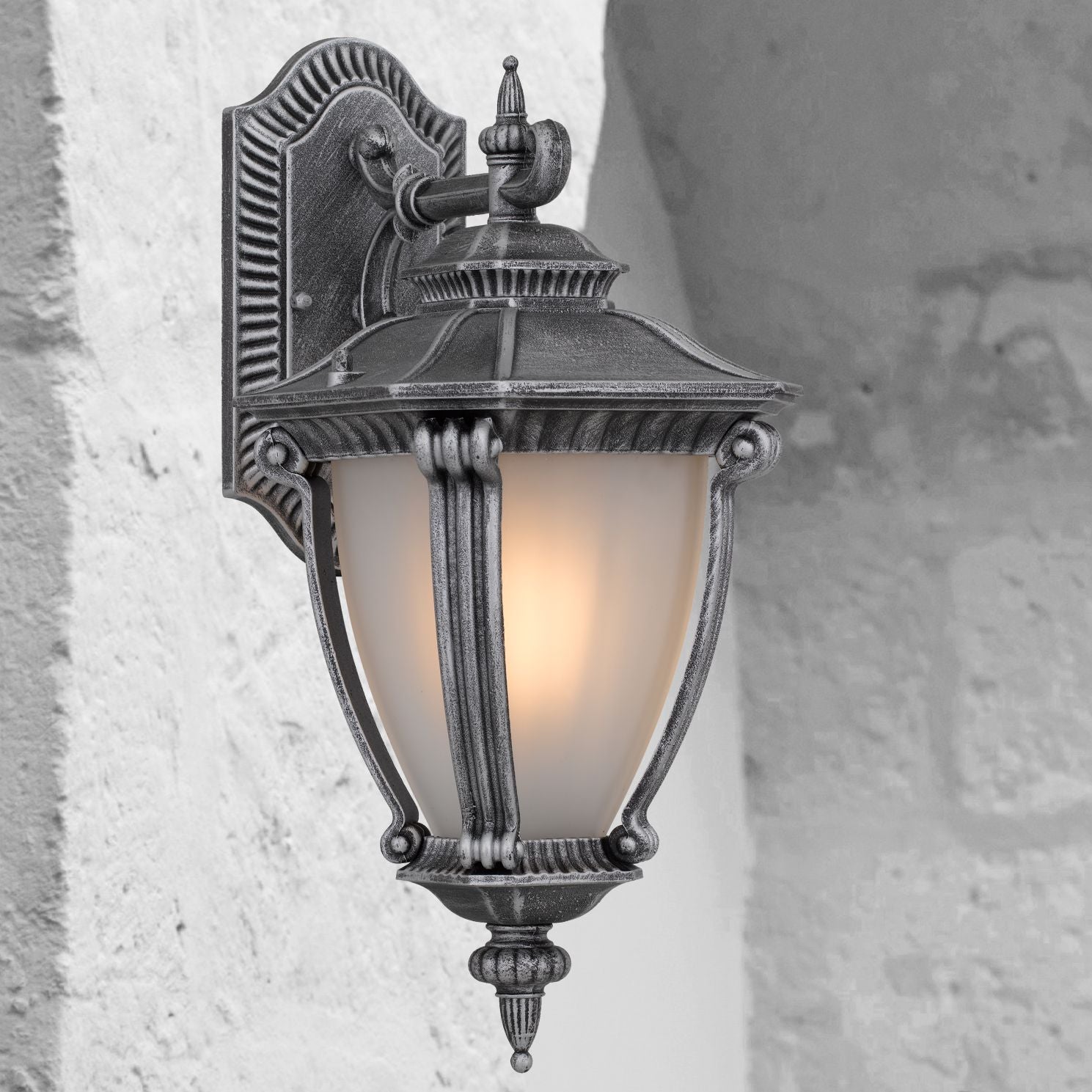 Delfino Exterior Wall Light Silver
