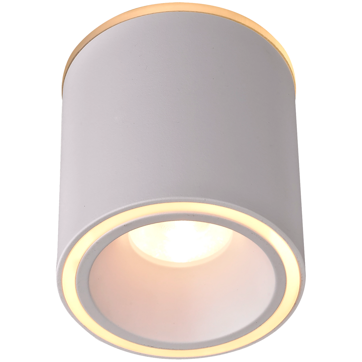 Glider Round LED Surface Mounted Downlight
