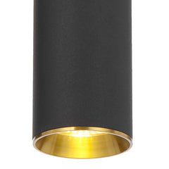 Kudo 1LT Pendant Black & Gold