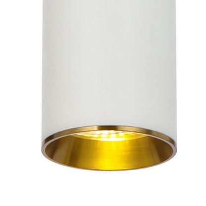 Kudo 1LT Pendant White & Gold