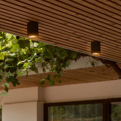 Kyklop Ripple Black Ceiling Light