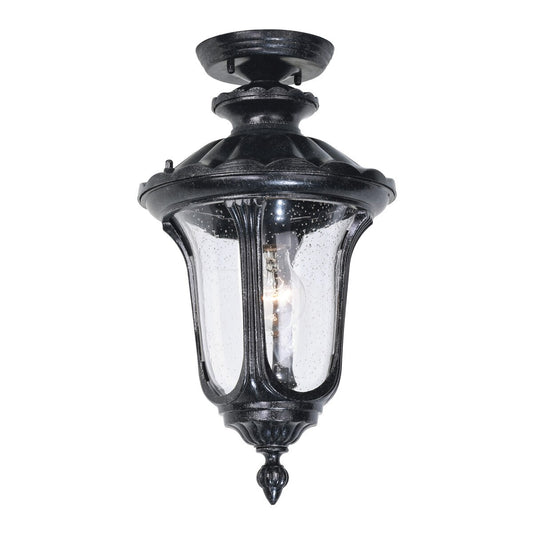 Waterford Medium Outdoor Ceiling Light in Antique Black