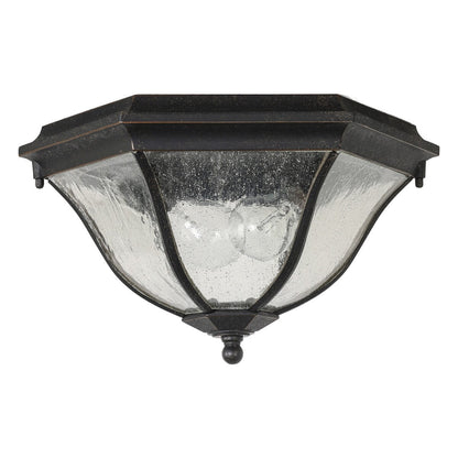 Wickham Outdoor Ceiling Light