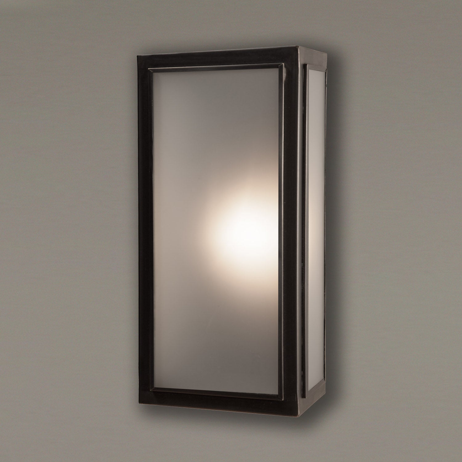 Lille Outdoor Wall Light Medium Frosted Glass