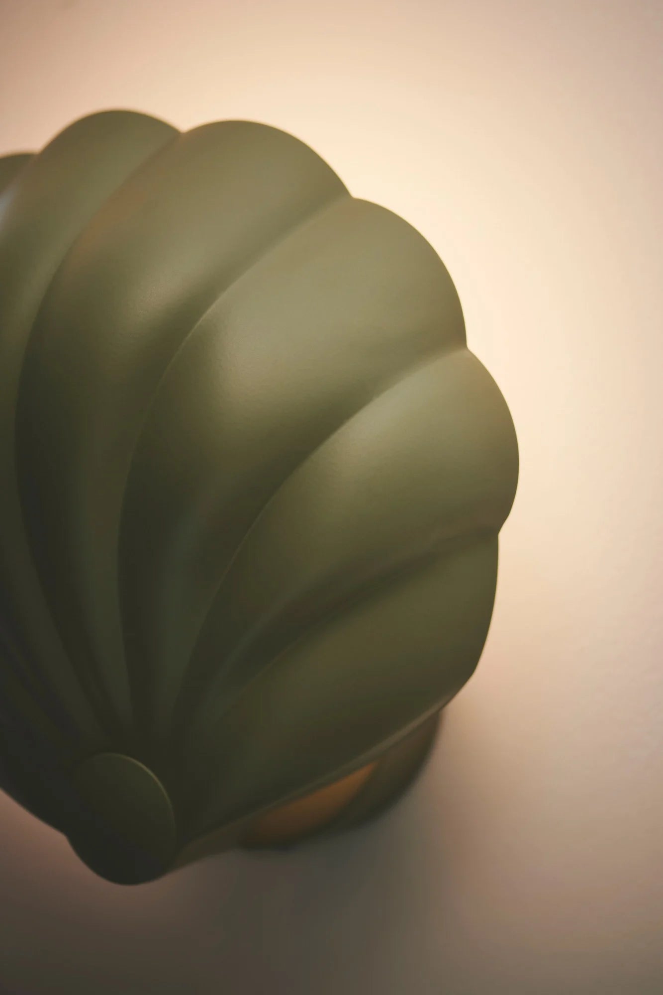 Konchi Shell Wall Light