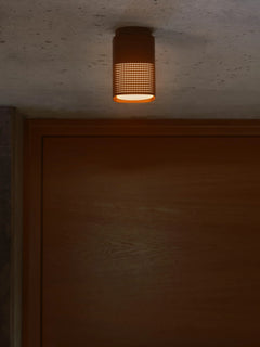 Sidara Exterior Ceiling Light