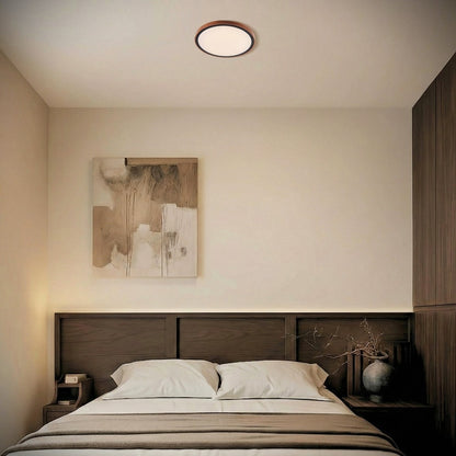 Orlin LED Oyster Light