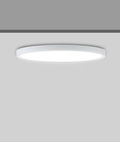Oystri Slimline CCT 24w LED Oyster Light
