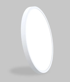 Oystri Slimline CCT 24w LED Oyster Light