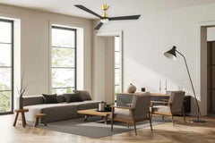 Riviera DC 52″ Smart Ceiling Fan With WIFI Remote Control