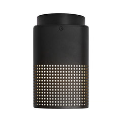 Sidara Exterior Ceiling Light