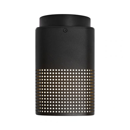 Sidara Exterior Ceiling Light