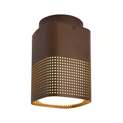 Sidara Exterior Ceiling Light