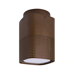 Sidara Exterior Ceiling Light