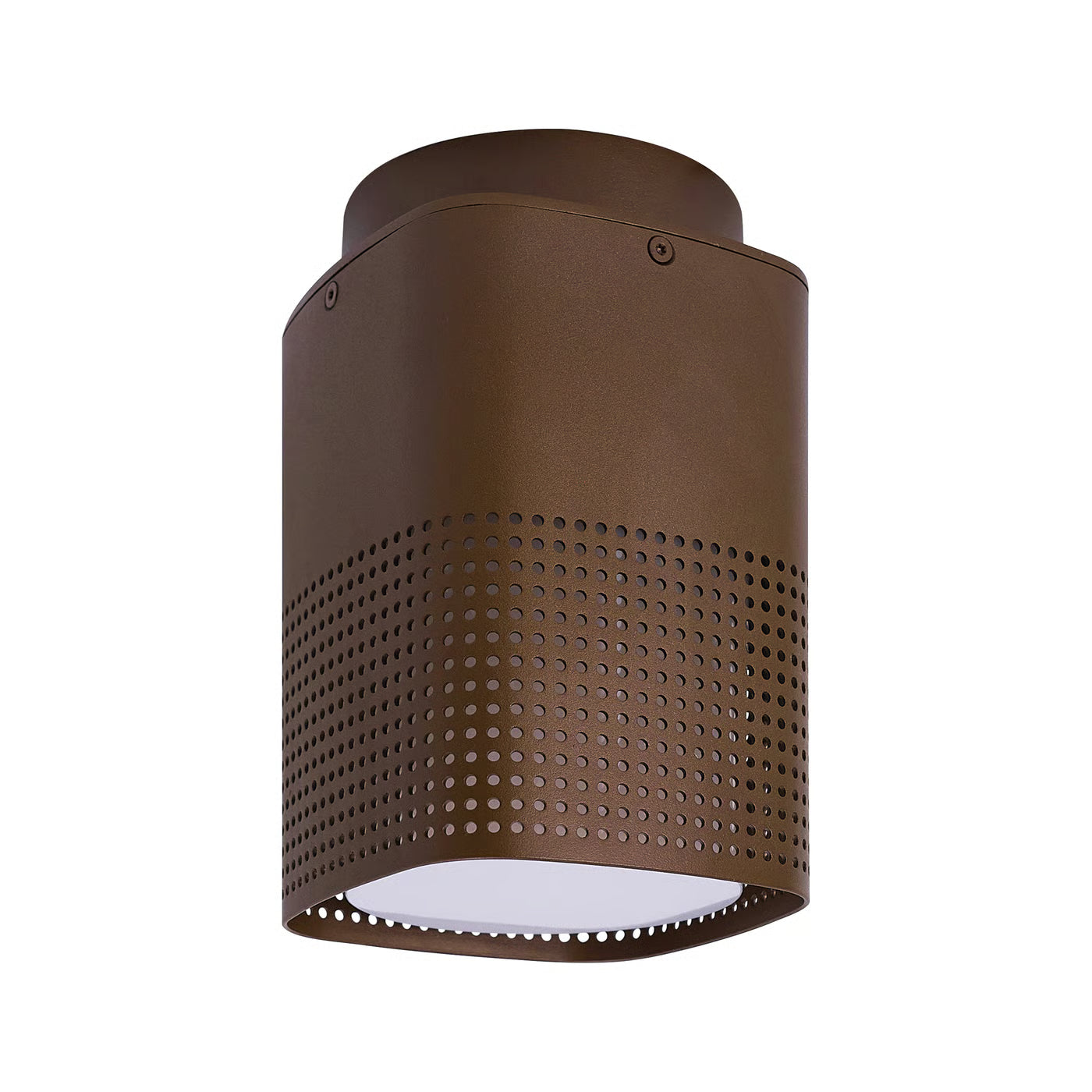 Sidara Exterior Ceiling Light