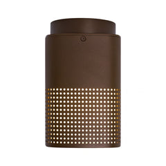 Sidara Exterior Ceiling Light