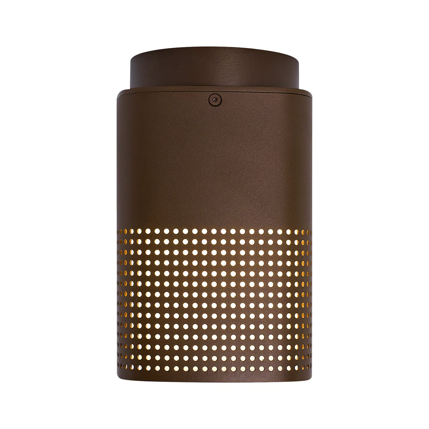 Sidara Exterior Ceiling Light