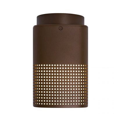 Sidara Exterior Ceiling Light
