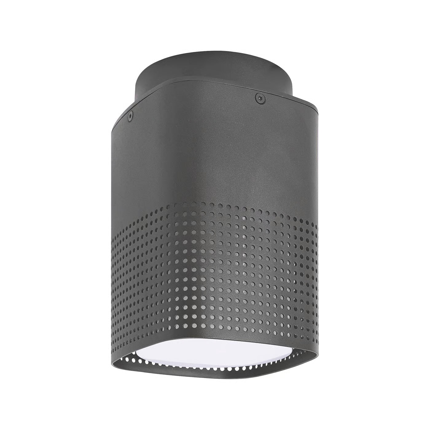 Sidara Exterior Ceiling Light