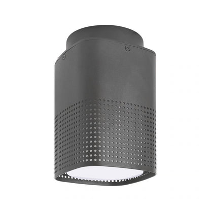 Sidara Exterior Ceiling Light