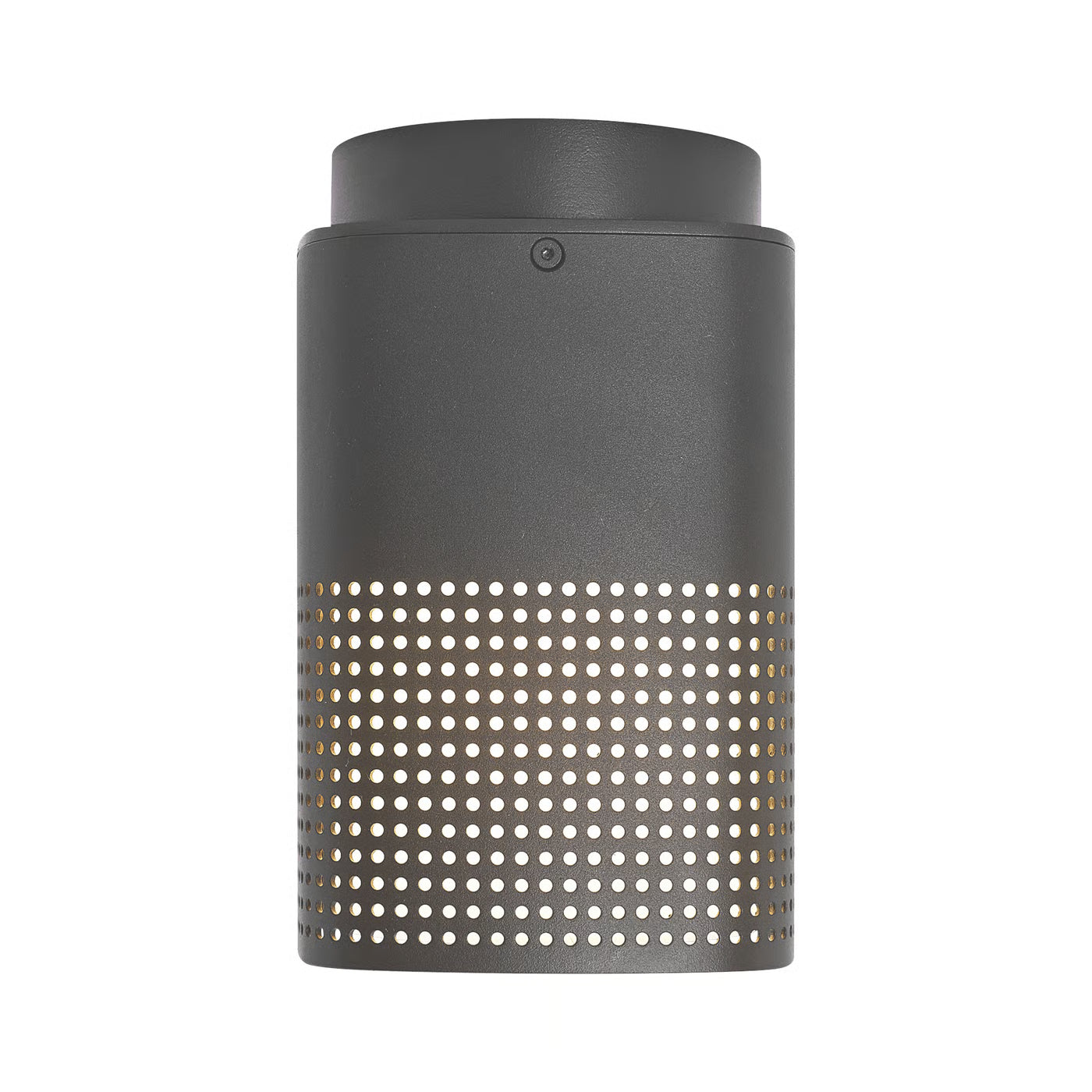 Sidara Exterior Ceiling Light