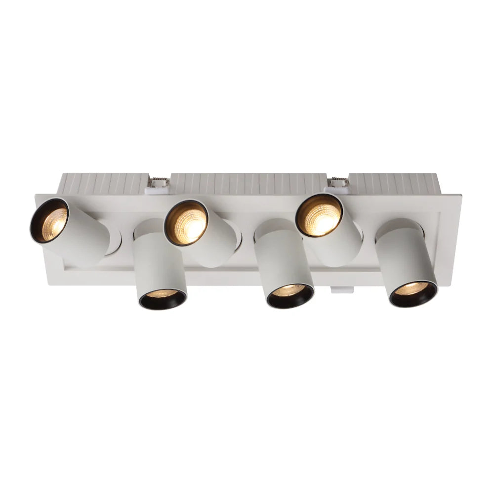 Tilda Adjustable LED Downlight