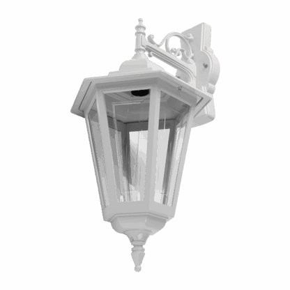 Turin Down-Facing Exterior Coach Light