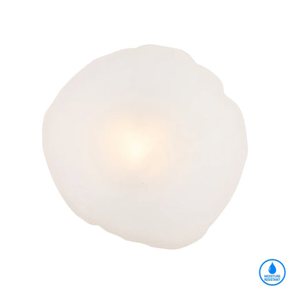 Zecca Wall Light