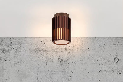 Aludra Exterior Ceiling Light Brown Metallic