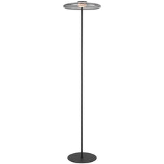 Amity LED Floor Lamp