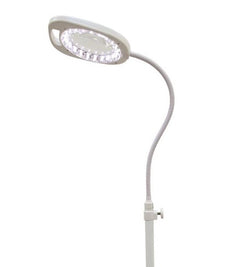 Arch Magnifying LED Floor Lamp