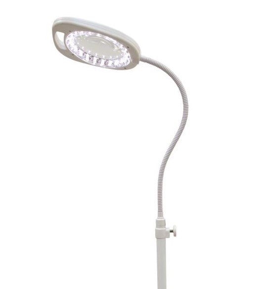 Arch Magnifying LED Floor Lamp