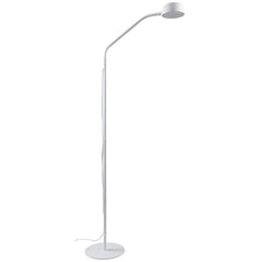 Ben LED Floor Lamp