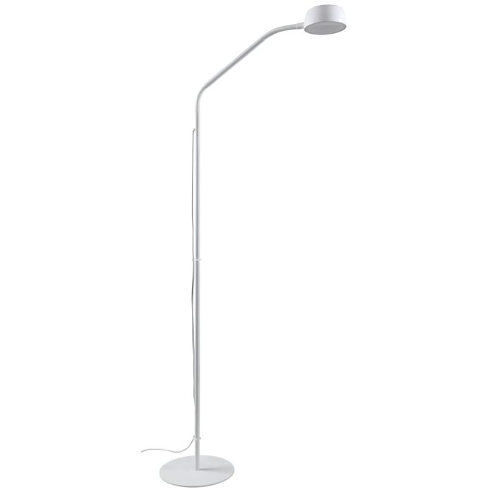 Ben LED Floor Lamp