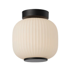 Bobo DIY Ceiling Light