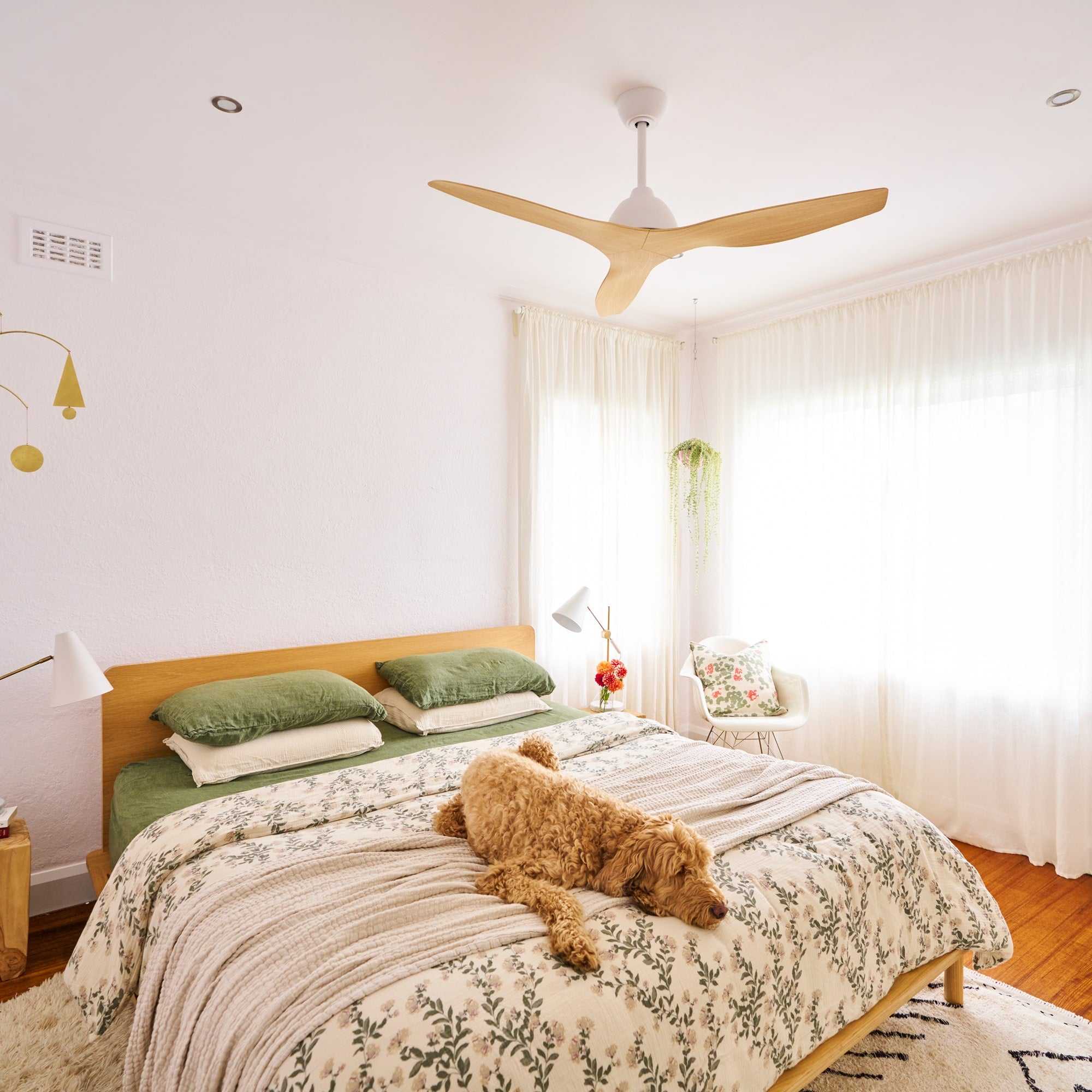 Breeze v2 AC 52" Ceiling Fan