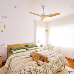 Breeze 48" AC Ceiling Fan