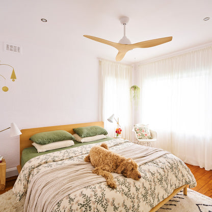 Breeze 48" AC Ceiling Fan