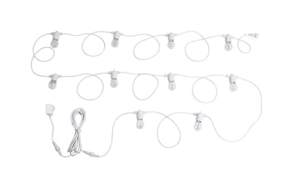 White 10LT Festoon Lighting Kit